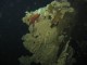 Thumbs/tn_DSechelt 003.jpg